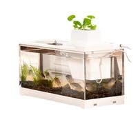 Small Fish Tank Leakproof, Large Open, Small Fish Tank, Mini