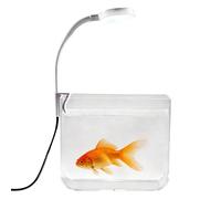 Small Fish Tank,with Clip Lights Clear Table Decor - Betta Tank Fish Aquarium Kit,for Bedroom Living Room Apartment Office Hotel Adults Kids Fishkeeping Viewing