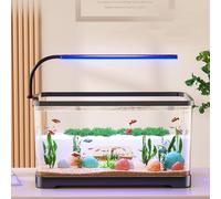 Small Fish Tank With Filter And Light, Aquarium Starter Kits With Atmosphere Light,Acrylic Desktop Aquarium Fish Tank, Modern Compact Transparent Tank For Betta, Goldfish(M)