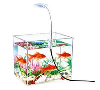 Small Fish Tank with LED Lights Aesthetic Table Decor