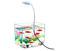Small Fish Tank with LED Lights Aesthetic Table Decor