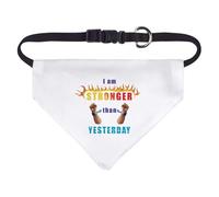 Small 'Flames of Strength and Freedom' Dog/Cat/Pet Bandana (PD00057327)