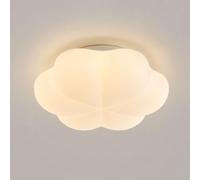 Small Flower Ceiling Light Fixture, 9W LED Acrylic Flush Mount Ceiling Lamp