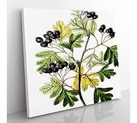 Small flowered Hawthorn Berry Tree Vintage Canvas Wall Art Print Ready to Hang, Framed Picture for Living Room Bedroom Home Office Décor, 35x35 cm (14x14 Inch)