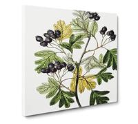 Small flowered Hawthorn Berry Tree Vintage Canvas Wall Art Print Ready to Hang, Framed Picture for Living Room Bedroom Home Office Décor, 14x14 Inch (35x35 cm)