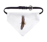 Small 'Flying Bald Eagle' Dog/Cat/Pet Bandana (PD00064881)