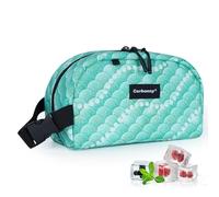Small Freezable Lunch Bag for Work, School, Travel - Insulated Cooler for Kids/Adults - Mini Bag Fits Yogurt, Suitable for 3+ (Green Fish)