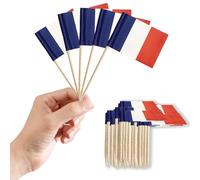 Small French Toothpick Flags Little Cake Toppers for Cakes Decorations,100pcs France Flag Mini French Flags On Cocktail Sticks for Cakes Sandwich Food Cupcake Toppers World Cup Pub Royal Event Décor