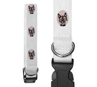 Small 'Funny German Shepherd with Scarf' Dog Collar (PR00057693)