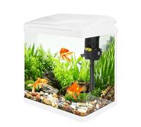 Small Glass Aquarium Tank 16L with Filter and Light, All-in-One Desktop Glass Fish Tank Kit with Pump for Goldfish, Betta, Shrimp, White(XS-320）