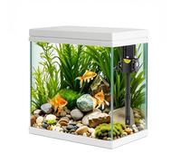 Small Glass Aquarium Tank 17L with Filter and Light, All-in-One Square Desktop Glass Fish Tank Kit with Pump for Goldfish, Betta, Shrimp, White(XM-320)