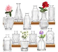Small Glass Bud Vase Bulk Set of 12, Mini Vintage Flower Bottles Glass Flower Vase Various Sizes for Flower Arrangements, Decorative Table Decoration, Wedding Party at Home