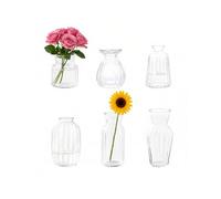Small Glass Bud Vases Innjoii - 6Pcs Clear Vertical Stripes Mini Tiny Flowers Vase in Bulk Modern Different Shape Vintage Cute for Home Table Wedding Decor Centerpieces Party Dining Room Bathroom