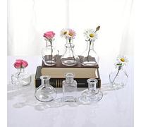 Small Glass Clear Vase Set of 8 EylKoi Bud Vases in Bulk Mini Tiny Different Shape Smooth Surface Vintage Modern Cute for Flowers Table Home Party Wedding Decor Centerpieces Dining Room