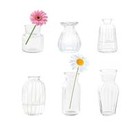 Small Glass Clear Vertical Stripes Vase Bud Vases in Bulk EylKoi Set of 6 Different Shape Vintage Mini Tiny Flower Vases Modern Cute for Home Table Wedding Decor Centerpieces Party Dining Room