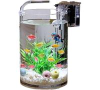 Small Glass Fish Bowl | Desktop Aquarium for Goldfish & Betta | Perfect for Office, Living Room & Home Decor