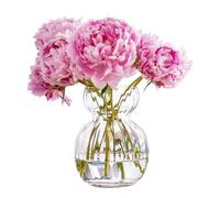 Small Glass Vase for Flower Innjoii Hyacinth Bulb Avocado Clear Vases for Table Decorations Centrepiece, Bud Vase Bulk for Growing, Mini Plant Creative Cute for Wedding Home Living Room Decor,12cm(H)