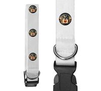 Small 'Grey Owl Love Note' Dog Collar (PR00063801)