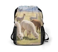 Small Gym Bag Alpacas Graze Leisurely Printed Drawstring Gym Bag for Men Lightweight Waterproof Drawstring Backpack for Women with Shoe Compartment for Travel Tourism Work and Fitness