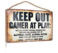 Small Hanging Sign Warning: Gamer In Action! Wooden Sign Man Cave Decor Decorations For The Kitchen(23X35CM)