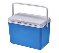 Small Hard Cooler 3L Drink Cooler with 6 Ice Bags for Camping Picnics, Blue