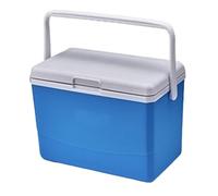 Small Hard Cooler, 3L Small Hard Cooler with 6 Ice Bags, Portable Drink Coolers with Handle, Green