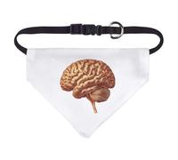 Small 'Human Brain Side View' Dog/Cat/Pet Bandana (PD00058597)