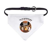 Small 'I'm not ghosting I'm just busy casting spells' Dog/Cat/Pet Bandana (PD00064075)