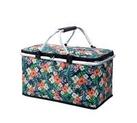 Small Insulated Cooler Box,With Handle Large Size Insulated Picnic Basket,Foldable Waterproof Lining Cool Hamper Shopping Bag for Camping,Hiking,Picnicking,Lake Trips,Family Vacations(Morning Glory)