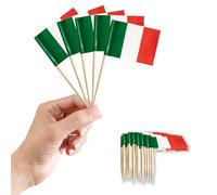 Small Italy Toothpick Flags Little Cake Toppers for Cakes Decorations,100pcs Italian Flag Mini Italy Flags On Cocktail Sticks for Cakes Sandwich Food Cupcake Toppers World Cup Pub Royal Event Decor