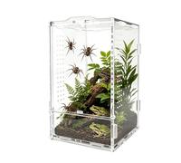 Small Jumping Spider Enclosure | Acrylic Horn Frog Terrarium - Jumping Spider Cage | For Keepers, Breeders, Pet Parents, Educators, Home Office, School Projects, Shops, Living Room, Study Room
