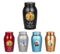 Small Keepsake Urns for Ashes 7.48 Inch Cremation Urn for Pet Ashes Stainless Steel Memorial Keepsake-Your Wings were Ready, But My Heart was Not