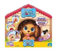 Small live pets. Dog with house