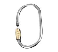 Small Lock Carabiner, Keychain Lock | Titanium Alloy Climbing Carabiner Clip,Quick Release Race For Key Organization, Outdoor Indoor Camping Travel