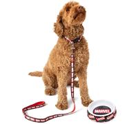 Marvel Pets Gift Set | Small OR Medium Hulk Captain America Iron Man Superhero Lead Collar Charm Accessory Feeder Food Water Bowl | Dogs Cats Birthday Treats Small