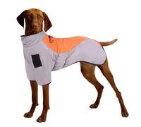 Small/medium Dog Winter Coat Water Resistant Dog Winter Clothes Mock Neck Dog Coats Zipper Winter Jacket Dog Coat For Cold Weather(Gray orange,2XL)