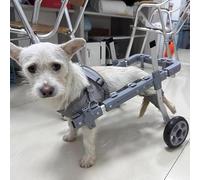 Small Medium Large Dog Cart Wheelchair, Lightweight Assisted Walk Car/Doggie Stroller, 2 Wheels Pet Mobility Device for Leg Brace Hip Support(XS)