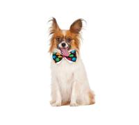 (Small - Medium) Polka Dot Pet Bowtie
