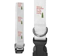 Small 'Merry Christmas To My Foster Family ' Dog Collar (PR00060621)