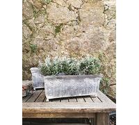 Small Metal Trough Planter, Rustic Pretty Window Box Herb Planter, Vintage Grey Antique Style Meadow Flower Pattern Decorated Plant Pot