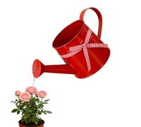 Small Metal Watering Can, 1L Vintage Houseplants Waterer Can with Ribbon, Galvanised Water Cans Garden Jug with Sprinkler Rose Head, for Garden Yarde Hourse Plants Flower (Red)