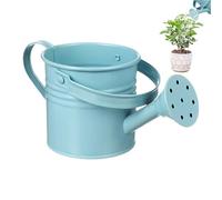 Small Metal Watering Can For Indoor Plants, Kids Watering Can,Mini Galvanised Iron Waterings Pot With Handle | Vintage Style Flower Waterer For Garden, Home, Succulents | Children’s Waterings Tin