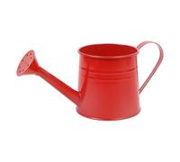 Small Metal Watering Can, Indoor Outdoor Metal Watering Can with Long Spout & Handles, Houseplants Plants Sprinkler, Portable Watering Cans, Solid Color Mini for Flower Garden