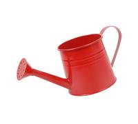 Small Metal Watering Cans For Children Kids Boys Girls, 1 Litre Iron Plant Watering Can Outdoor Indoor For Flower Vegetable Sapling, Mini Long Spout Watering Kettle For Garden Backyard