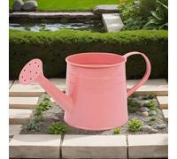Small Metal Watering Cans, Iron Flower Watering Can With Long Spout, Can Garden Water Sprinkler, For Decoration And Gardening Indoors Outdoors Plants.