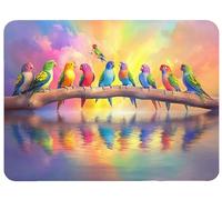 Small Mouse Mat 600 x 400 x 3mm Gaming Mouse Pad Color Mousepad Non-Slip Rubber Base Parrot Desk Mat Waterproof Surface Japanese Desk Pad Compatible Laser Optical Mice for Laptop Office Decor,Model769