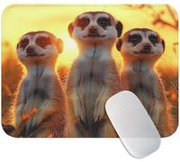 Small Mouse Mat Meerkats 200 x 150 x 3 mm, Gaming Mouse Pad Animal with Non-Slip Rubber Base, Smooth Microfiber Surface for Precise Control, Long-Lasting, Compact Mousepad for Office & Desk Mat M3-701
