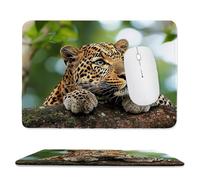 Small Mouse Pad - Animal Cheetah Gaming Mouse Mat 40 x 30 cm, Computer Mouse Mat with Anti-slip Rubber Base, Easy Gliding, Spill-Resistant Surface, Portable, Improves Speed and Accuracy, Gifts c-171