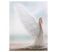 (Small, Multicoloured) Anne Stokes Spirit Guide Canvas