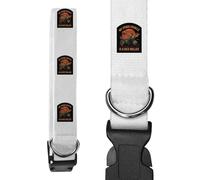 Small 'My Other Vehicle is a Dice Roller' Dog Collar (PR00065711)